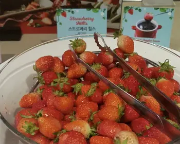 애슐리 퀸즈 가격6