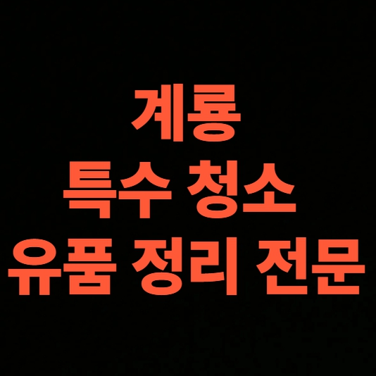 계룡 고독사청소 업체