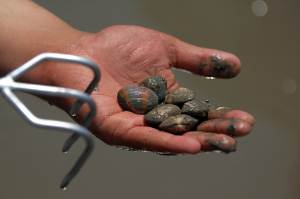문항 어촌체험마을