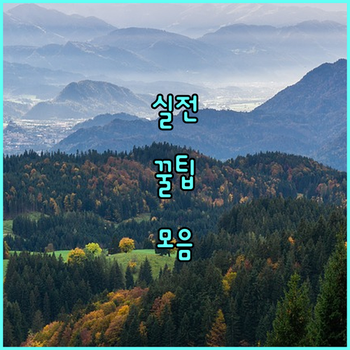 전문의가 답한다 리프팅 시술 Q&A