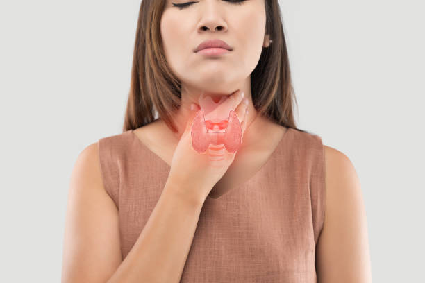 갑상선 TSH 정상수치 보다 높음 원인