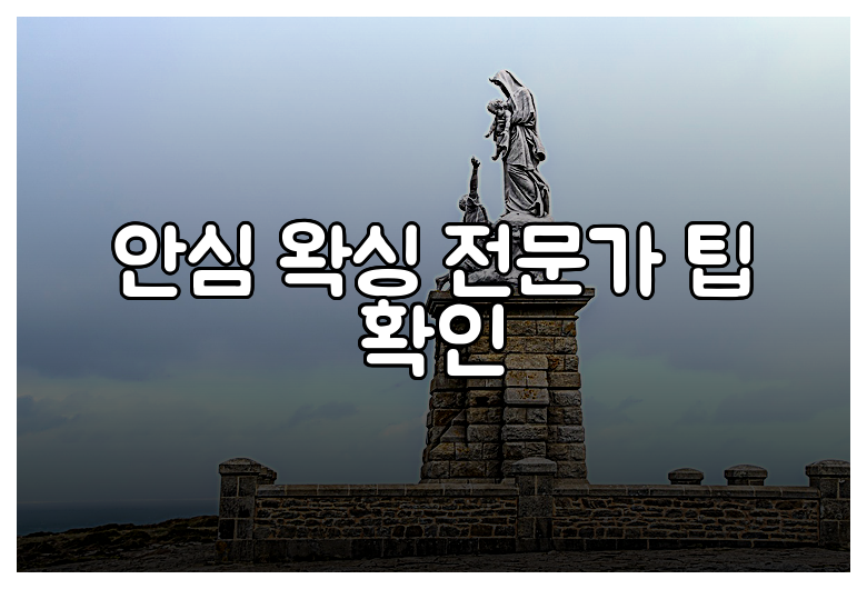 안심 왁싱 전문가 팁 확인