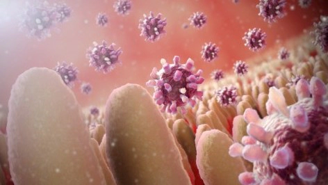 장염 먹어도 되는 음식