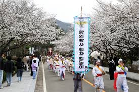 영암 왕인문화축제 체험기 - 백제의 지혜를 걷는 시간