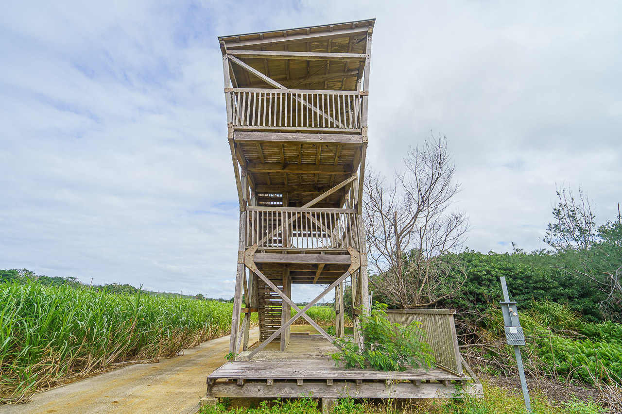 Minamidaito Island: A Remote Pacific Island in Okinawa — original photograph 8
