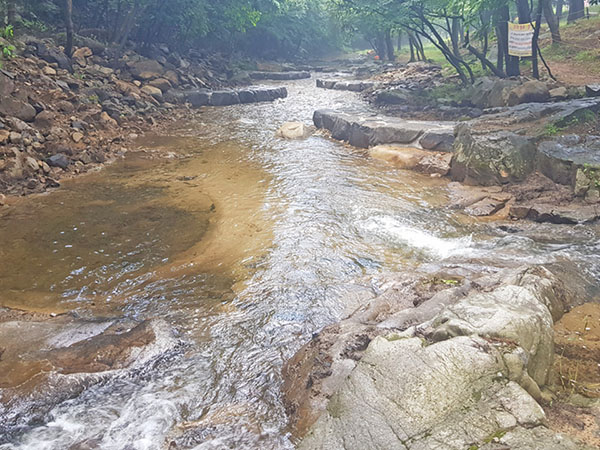 용현자연휴양림