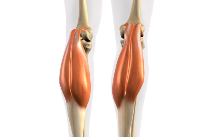 종아리-근육파열-예방법