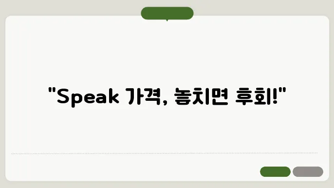 speak 가격 정보 총정리