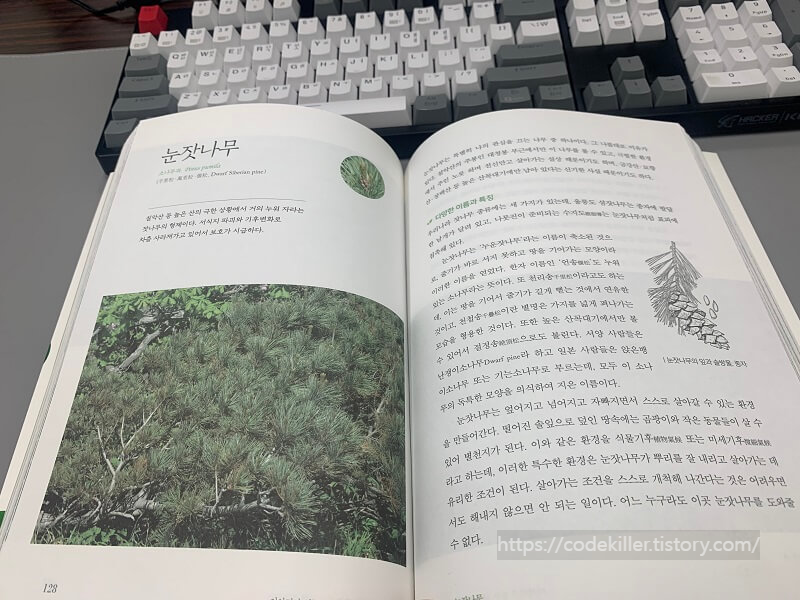 이야기가 있는 나무백과