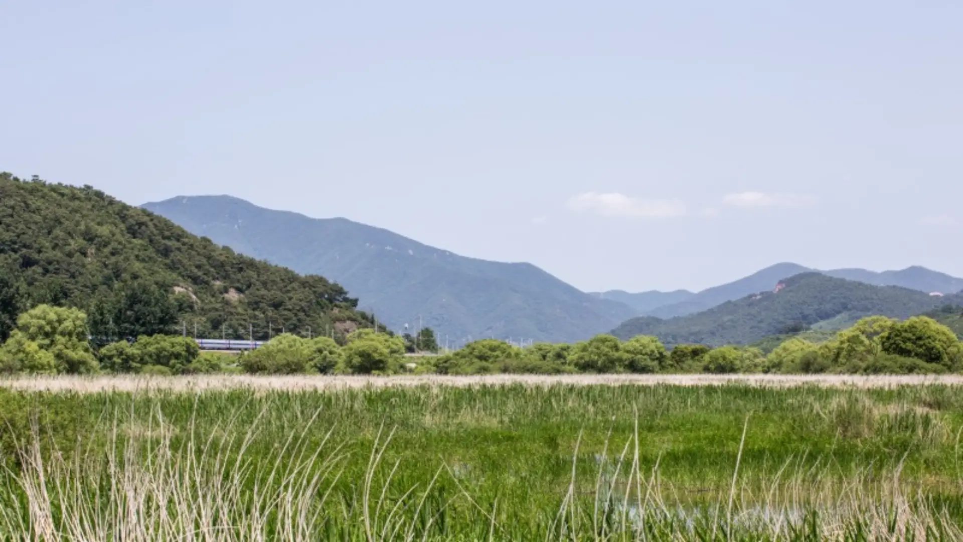 2024년 설날 기차표 예매일정 (예매방법)