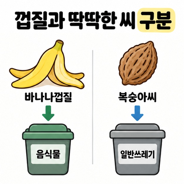 바나나껍질은 음식물로, 복숭아의 딱딱한 씨는 일반쓰레기로 나누어 각각의 수거용기에 연결한 비교 도식