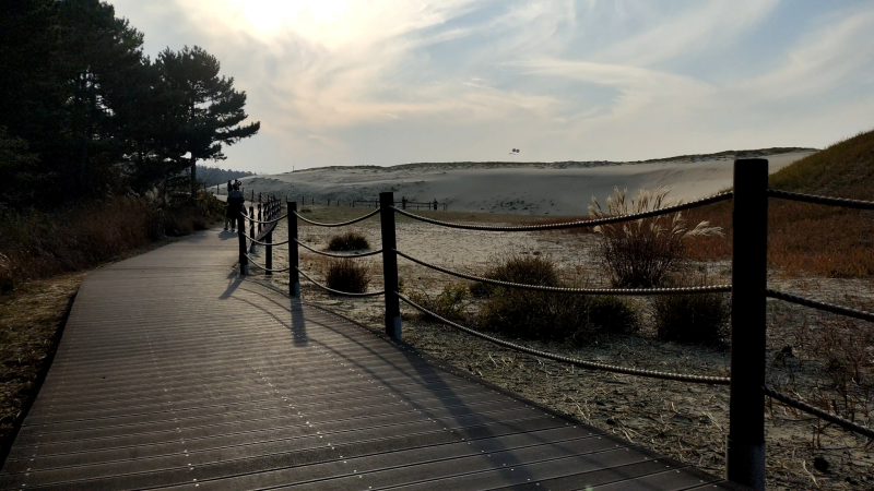 신두리해안사구