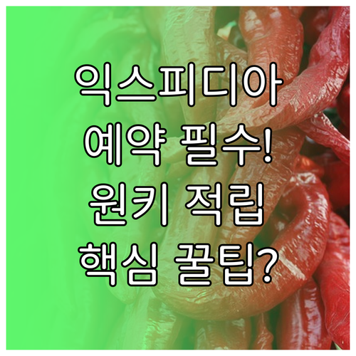 익스피디아 예약 확인 방법 One K..