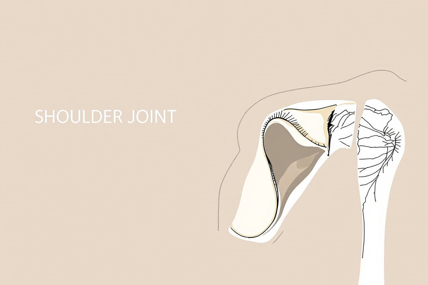 어깨통증과 관련된 사진입니다.