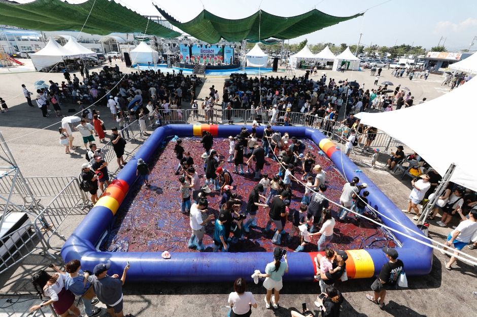 2025 화성송산포도축제, 달콤한 가을의 특별한 하루!