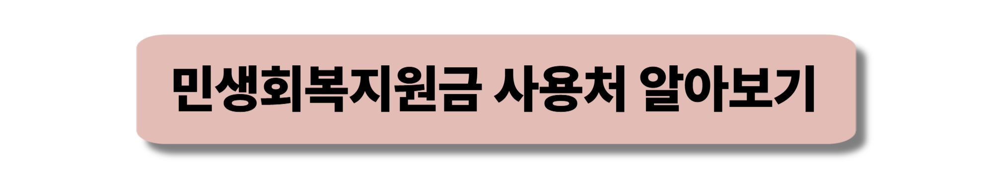 민생회복지원금 신생아 및 예비 부모