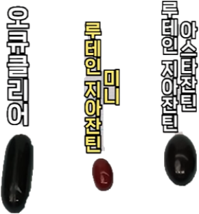 안국건강 루테인 지아잔틴 미니 와 오큐클리어 제품 크기 비교
