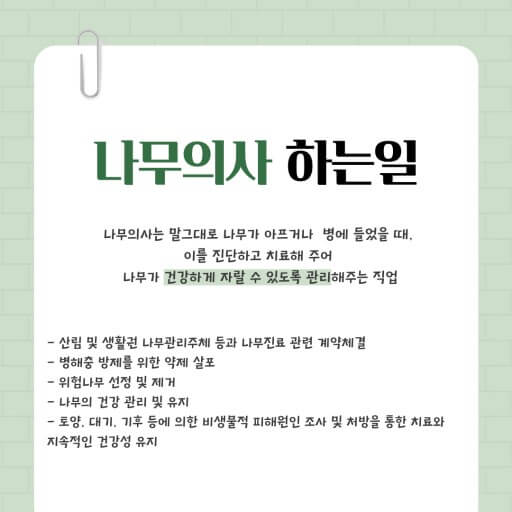 나무의사 하는 일