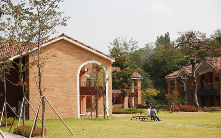 동해 무릉건강숲