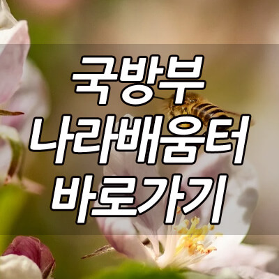 국방부나라배움터_썸네일