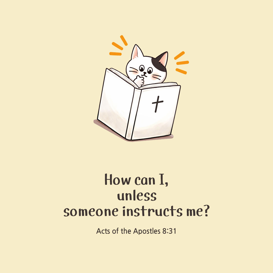 Today's Bible verse card Acts of the Apostles 8:31 scripture image