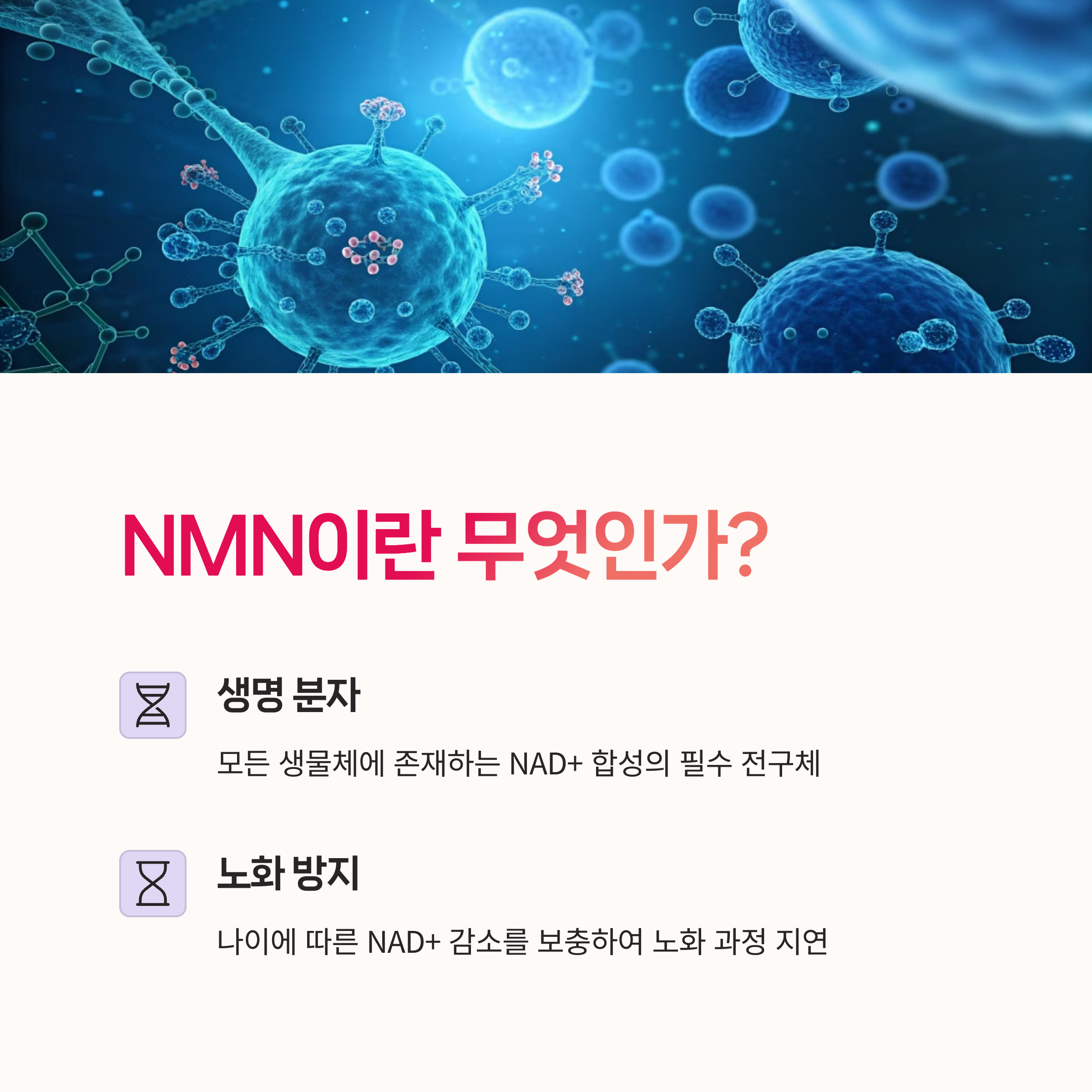 에너지대사, 보충제중단,