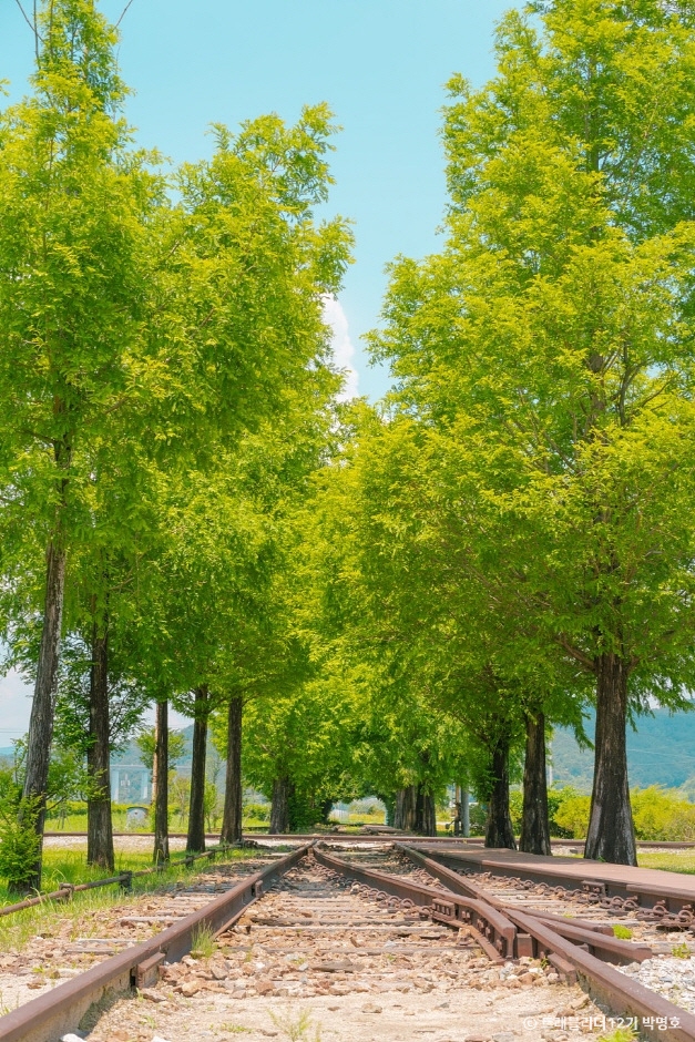 남원 여행 가볼만한 곳