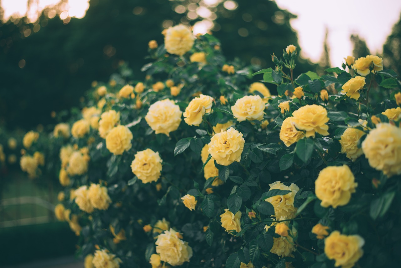 경기도힐링명소