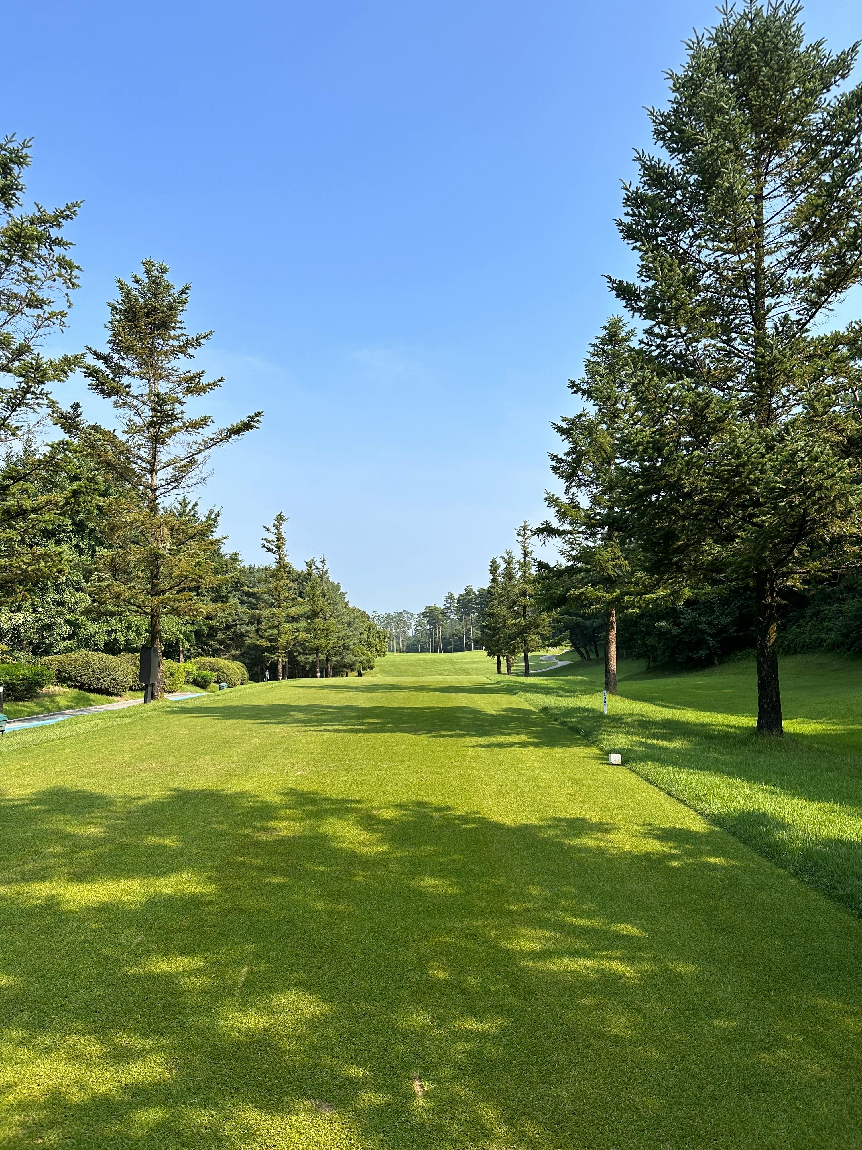 노캐디골프장관련이미지