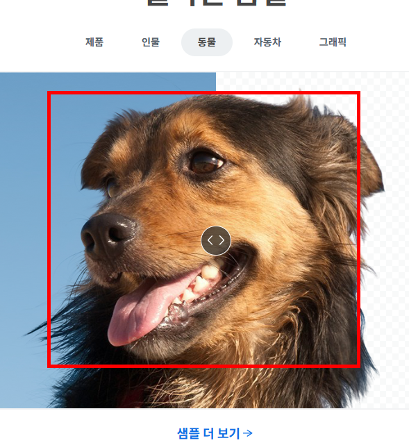 remove.bg 사이트 바로가기