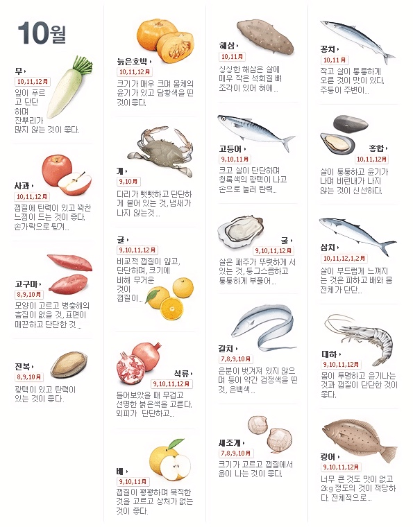 10월 제철음식