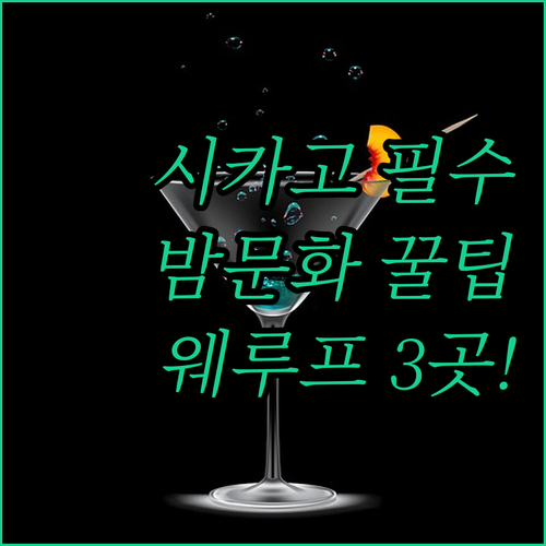 시카고 웨스트 루프 밤 문화 필수 코..