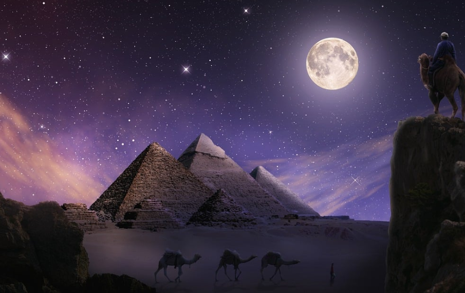 미드나잇 트래블러