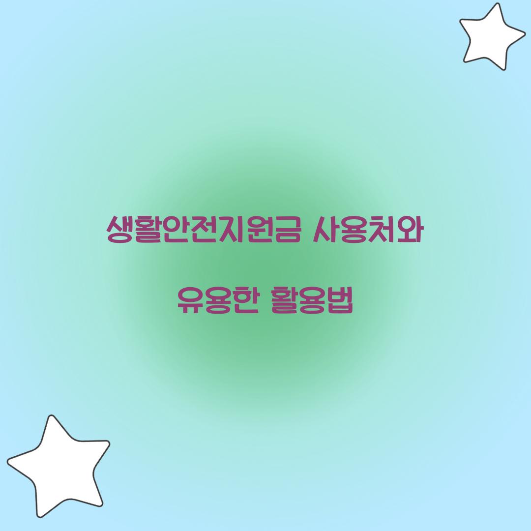 생활안전지원금 사용처