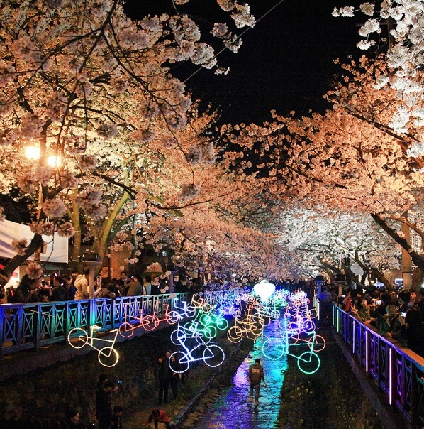 진해 군항제 일정