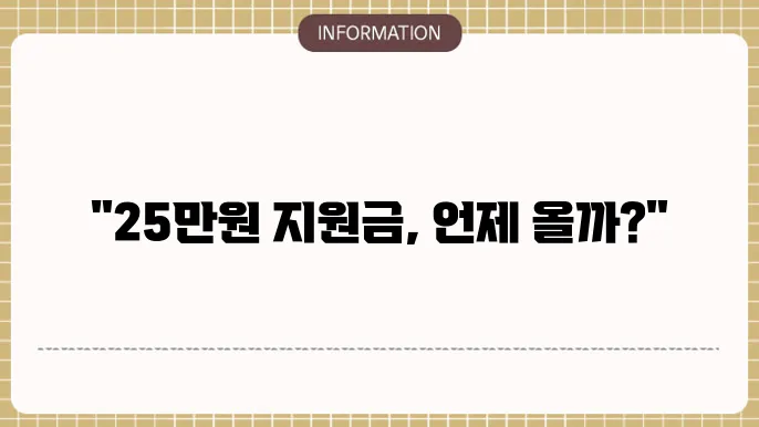 민생지원금 25만원 지급받은 경험담