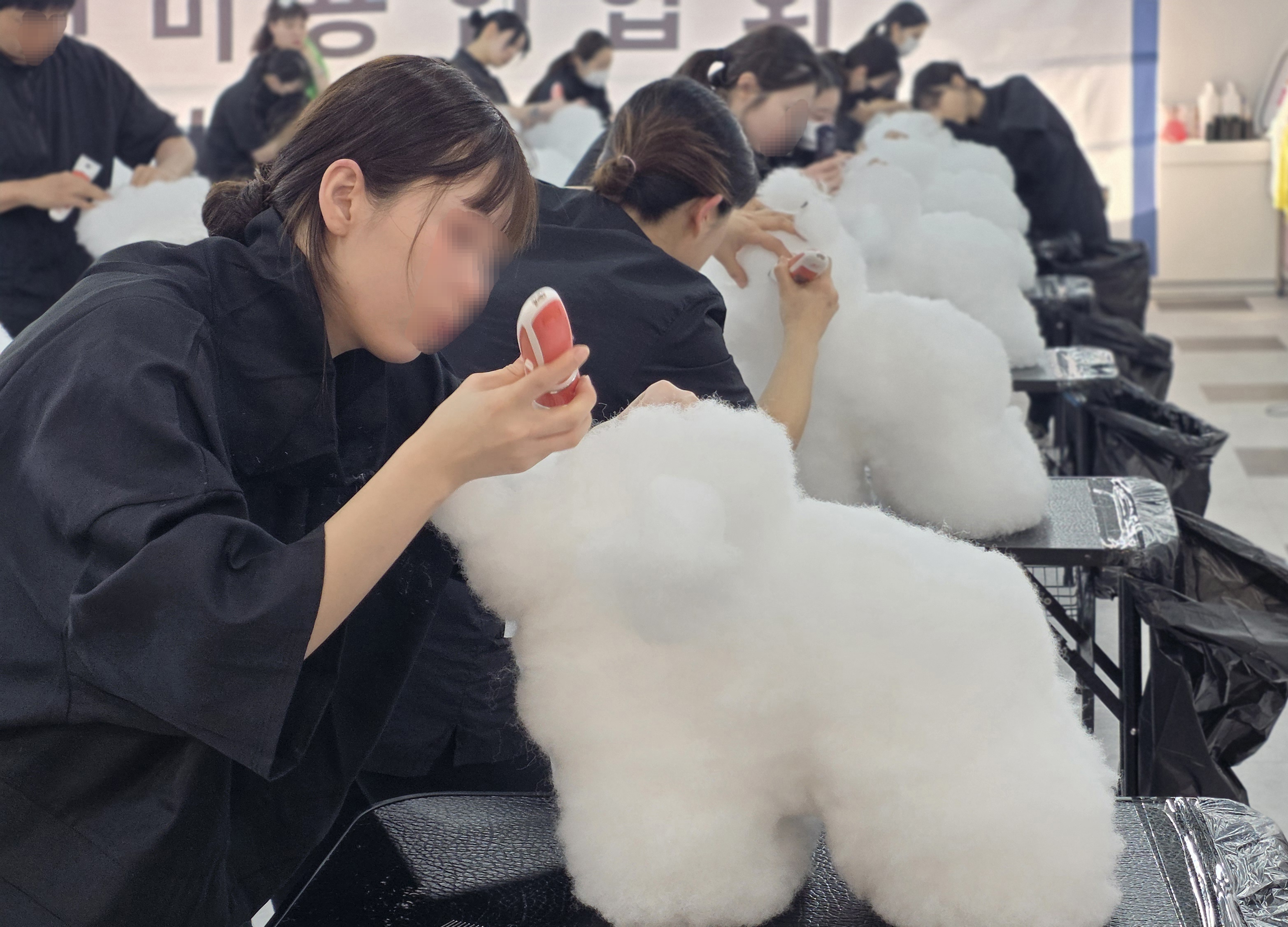 애견미용자격증국비