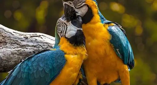 아빠 육아휴직 장려금 신청 방법