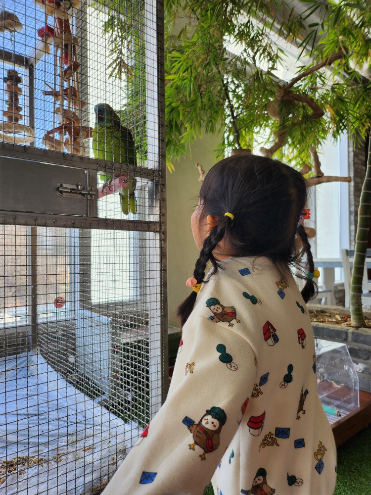 앵무새를 보는 아이