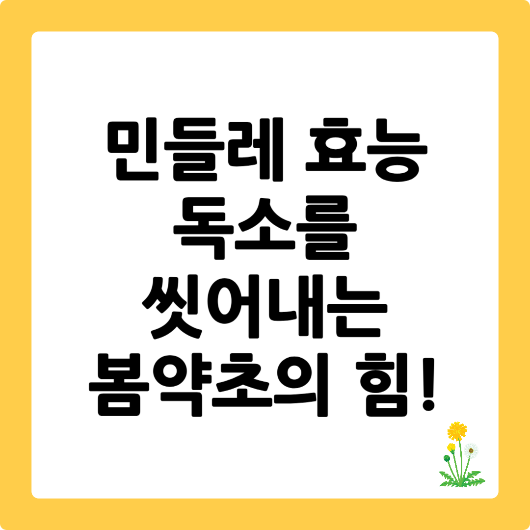 민들레 효능