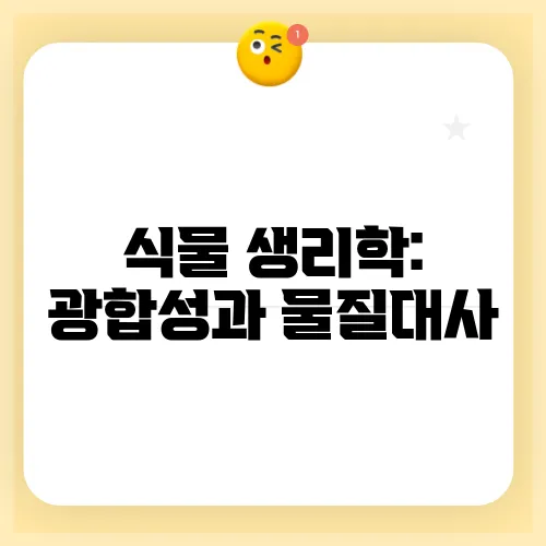 식물 생리학: 광합성과 물질대사