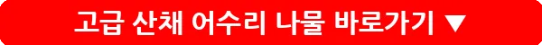 고급 산채 어수리 나물_3