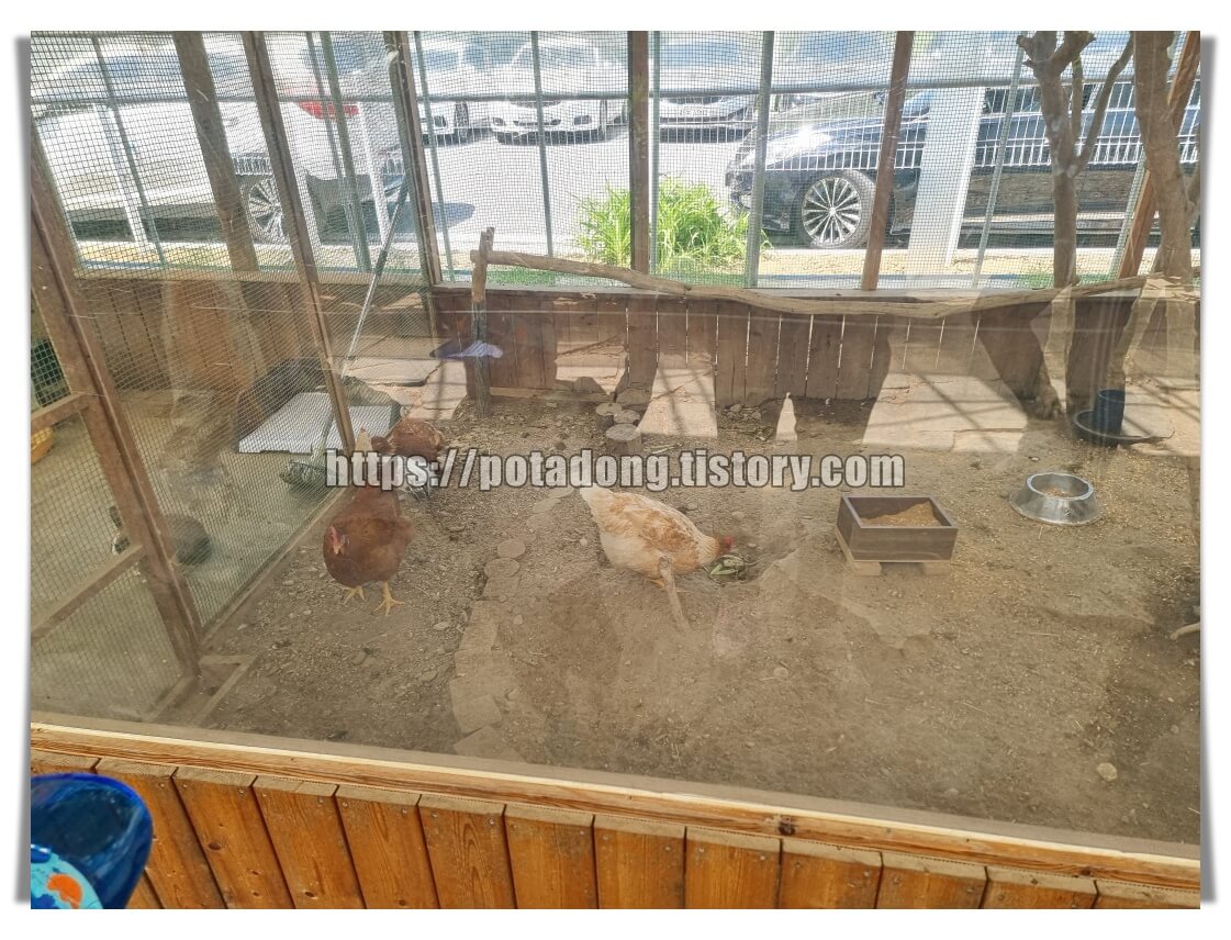 동천자연식물원