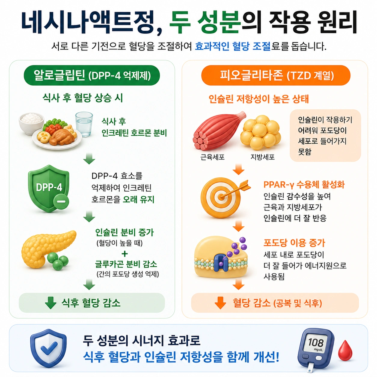 네시나액트정_본문2_두성분작용원리