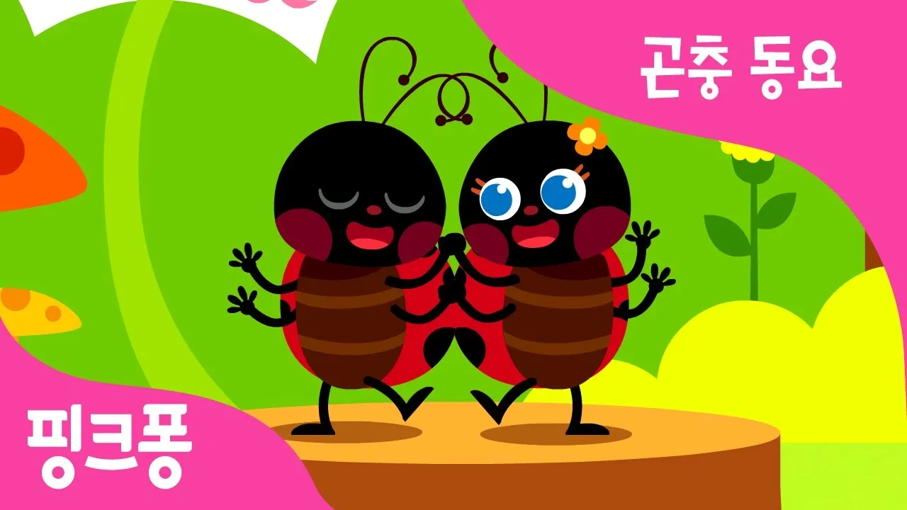 집에 들어온 무당벌레 없애는 방법과 안전하게 처리하는 요령_2