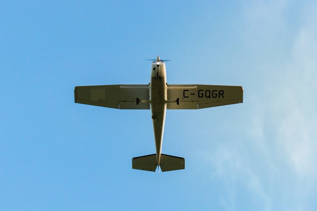 Piloti