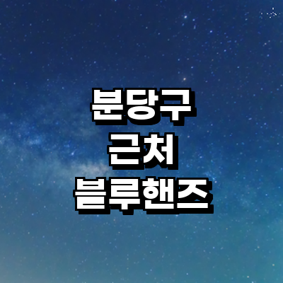 성남 분당구 블루핸즈