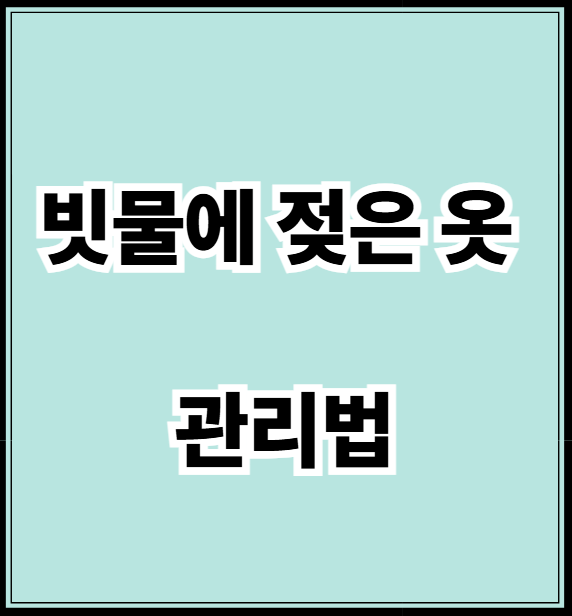 빗물에 젖은 옷 관리법