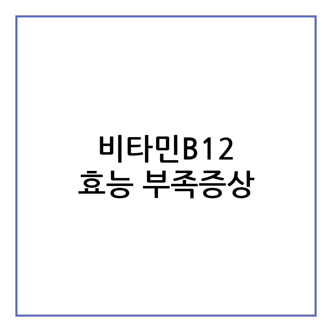 비타민b12 효능