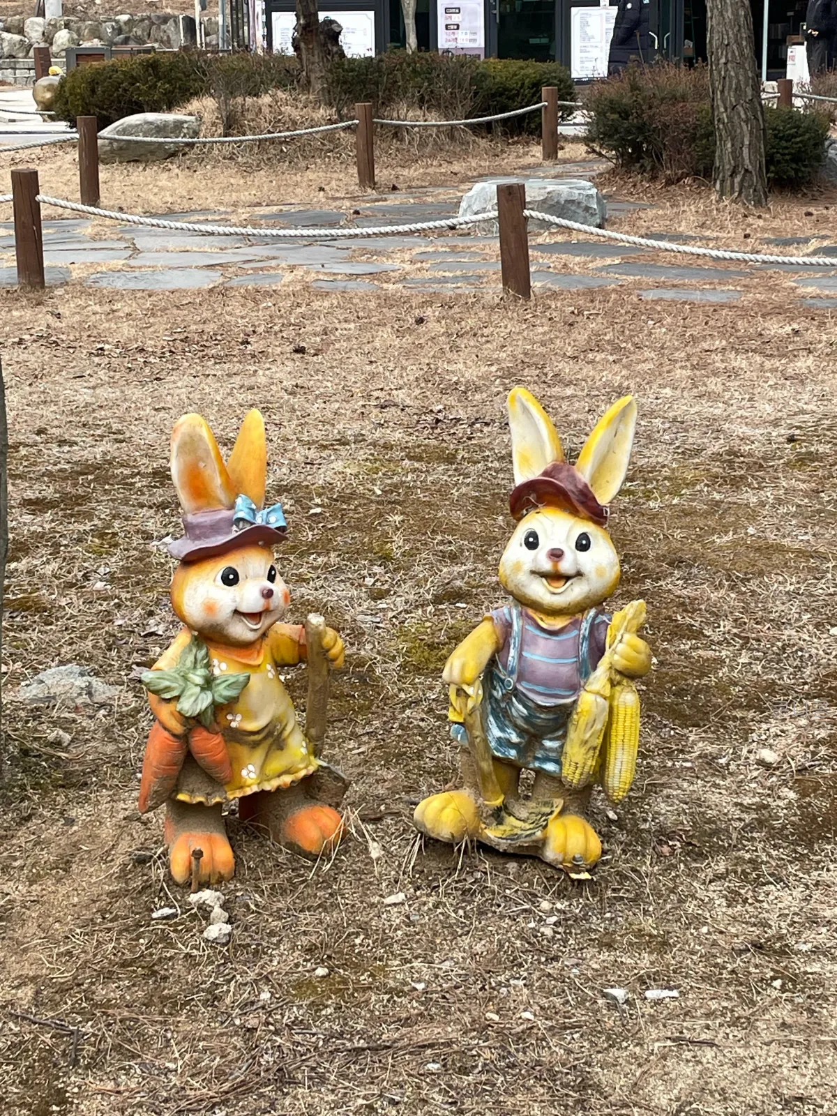 강원도-원주여행-소금산-출렁다리-주말-방문후기-산책로-소요시간&amp;#44;-또-가고싶은-이유